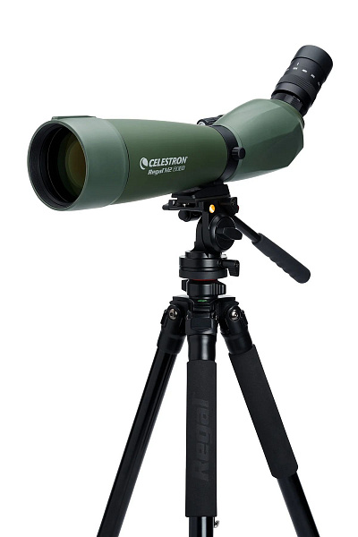 Зрительная труба Celestron REGAL M2 80 ED 20-60x80mm