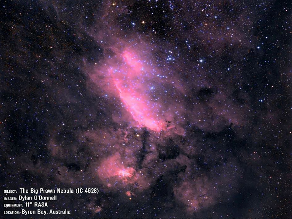 Телескоп Celestron 11" f/2,2 RASA Rowe-Ackermann Schmidt Astrograph (V2) (только труба)